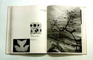 Pages from The New Landscape by György Kepes, 1956