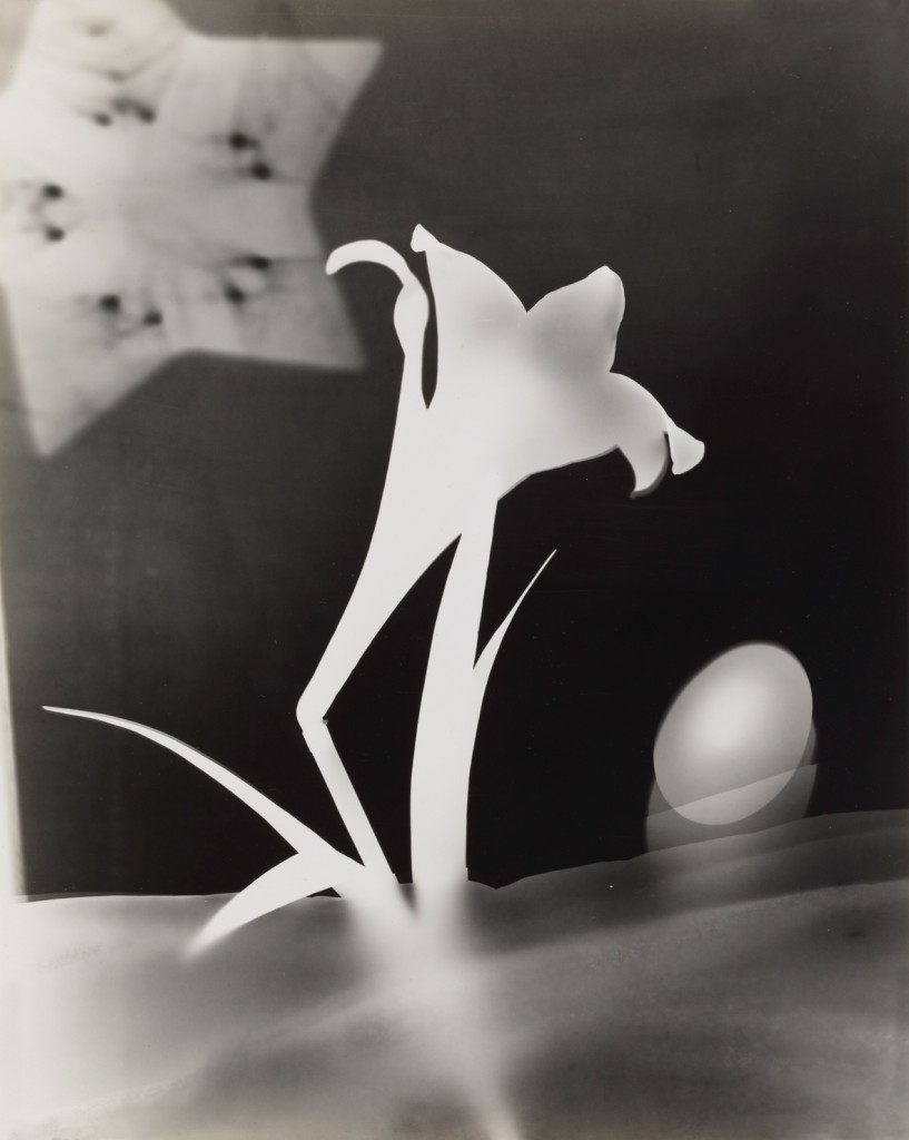 György Kepes, 1906-2001 Lily and Egg c. 1939 Photograph, gelatin silver print on paper 355 x 284 mm © estate of György Kepes